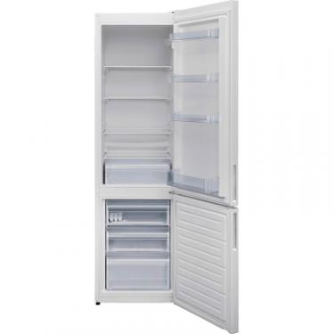Холодильник ECG ERB21800WF Фото 1