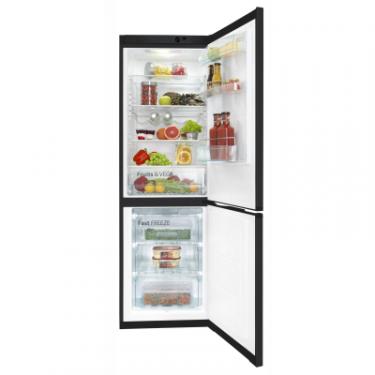 Холодильник Snaige RF56SM-S5JJ2E Фото 5