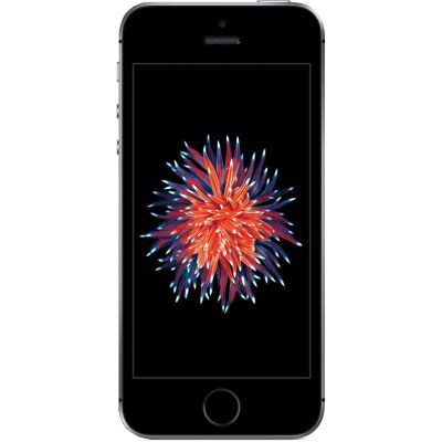 Мобильный телефон Apple iPhone SE 32Gb Space Grey Фото