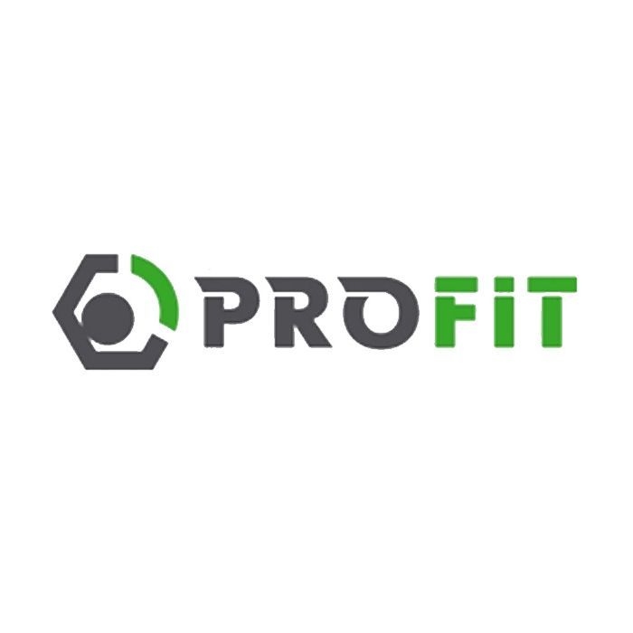 Воздушный фильтр для автомобиля Profit 1512-4234 Фото