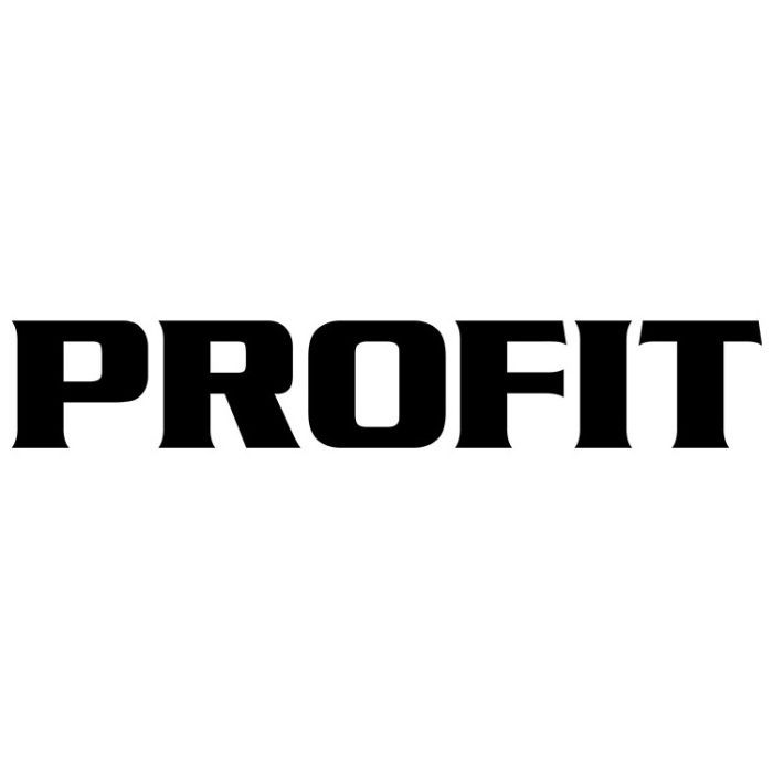 Воздушный фильтр для автомобиля Profit 1542-0026 Фото