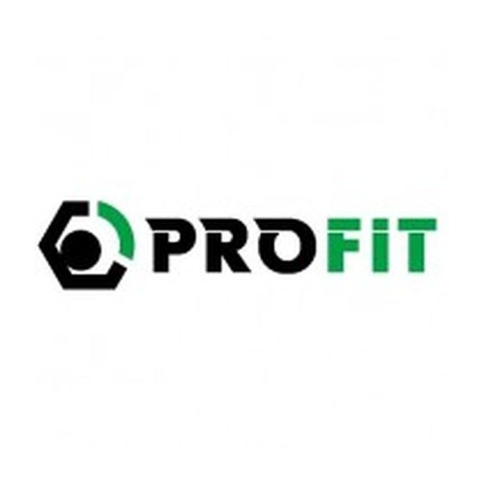 Воздушный фильтр для автомобиля Profit 1512-4296 Фото