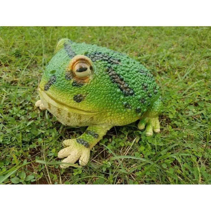 Фигурка Lanka Novelties Лягушка аргентинская рогатая, 25 см Фото
