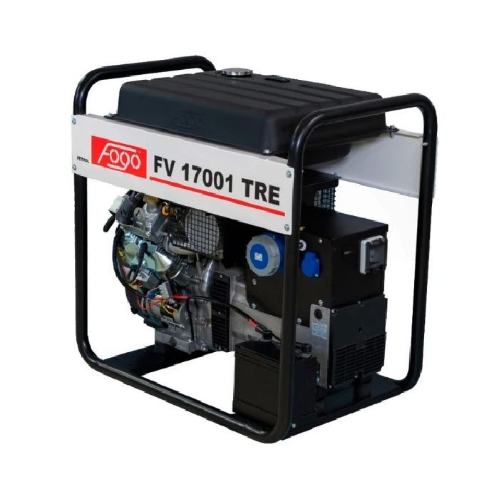 Генератор Fogo FV17001TRE 14,9kW, двиг.BS Фото