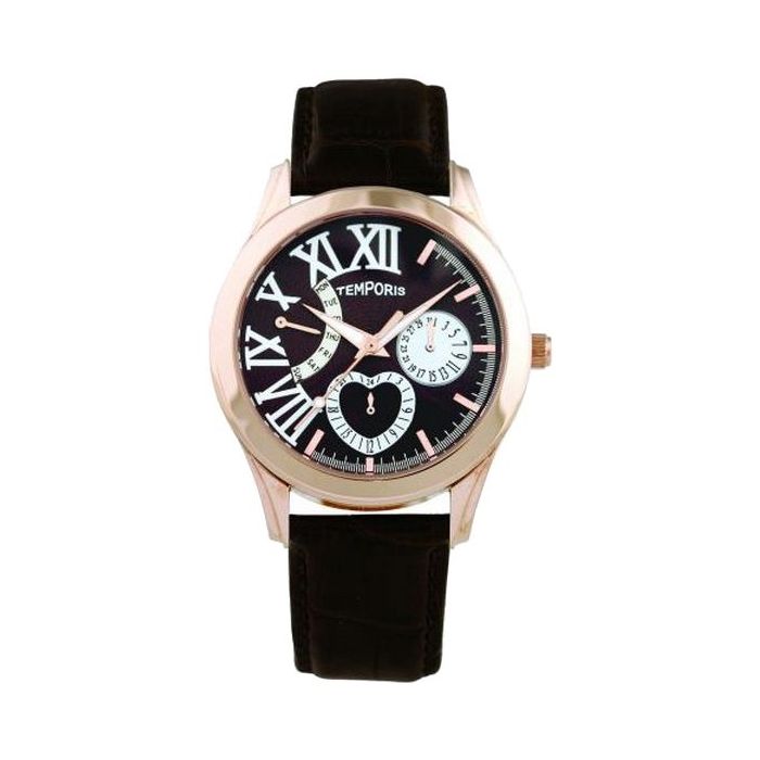 Наручные часы Temporis T013LS.06 Фото