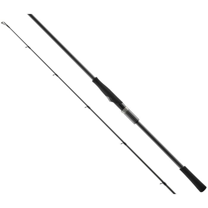 Удилище Favorite Black Swan BSWTS1-982ExH 2.94m 24-84g Fast Фото