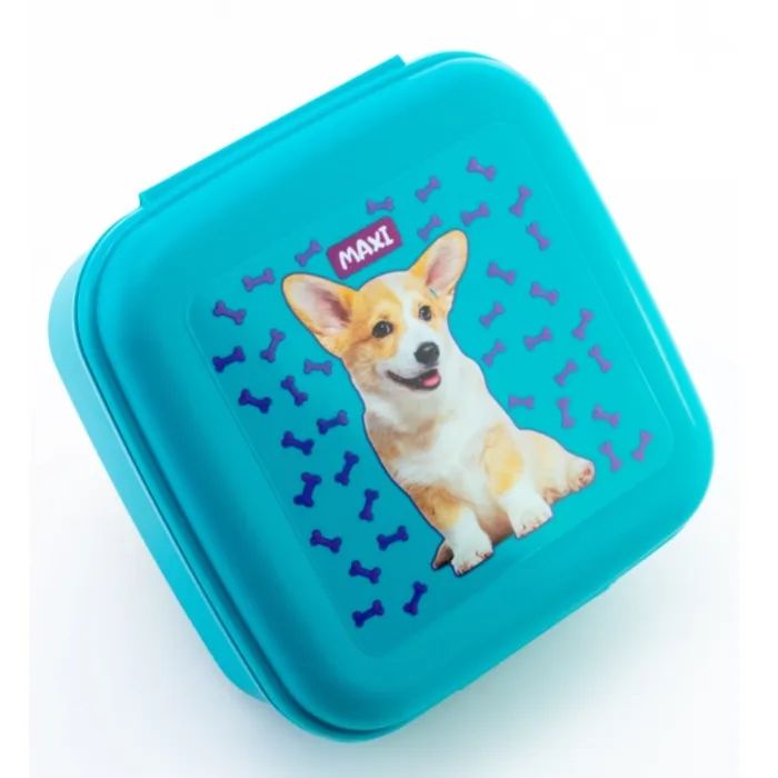 Ланч-бокс детский Maxi 850 мл Фото