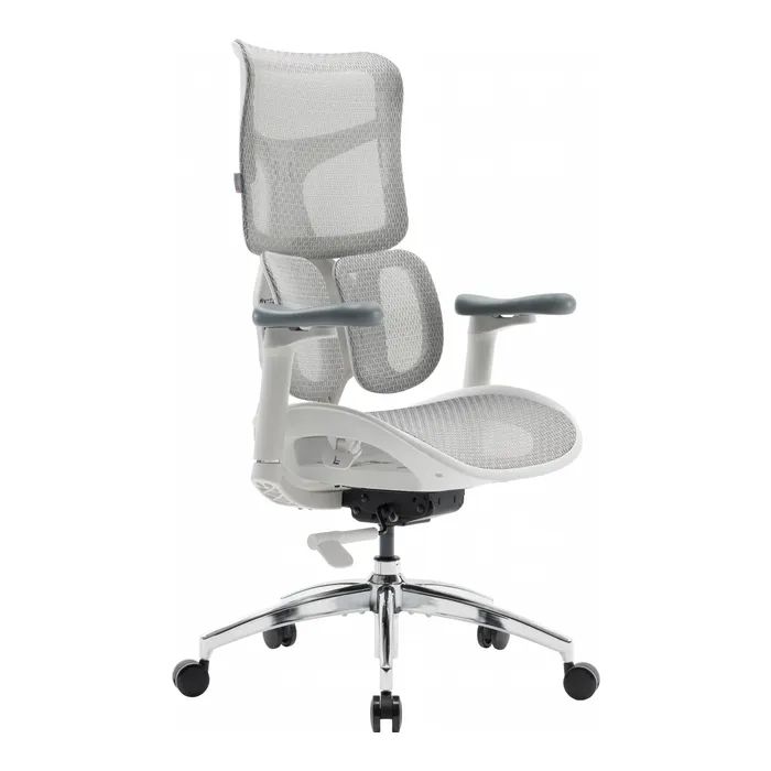 Офисное кресло Sihoo DORO S100 Mesh White Фото