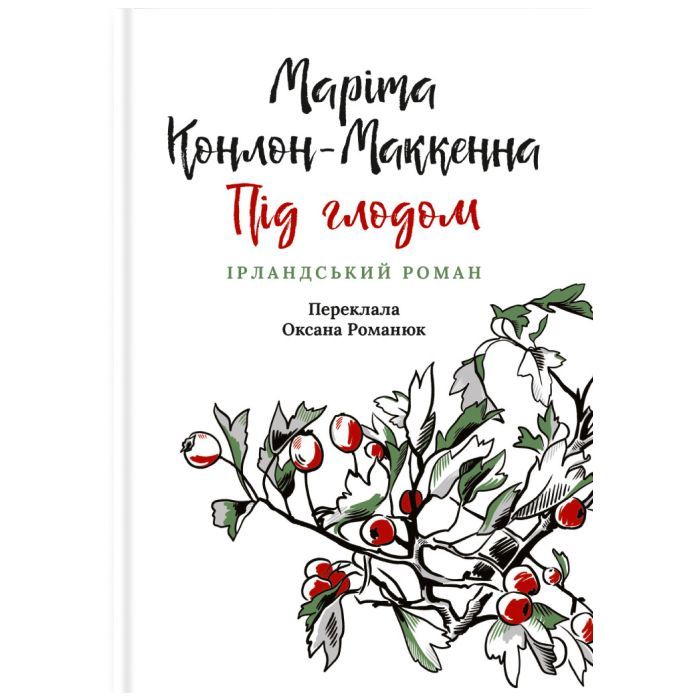 Книга Астролябія Під глодом. Ірландський роман - Маріта Конлон-Макк Фото