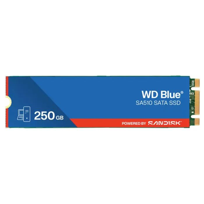 Накопитель SSD WD M.2 2280 250GB SA510 BLUE Фото
